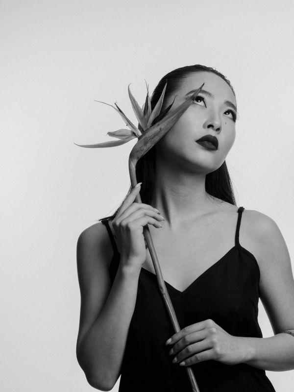 Стрелиция фото превью