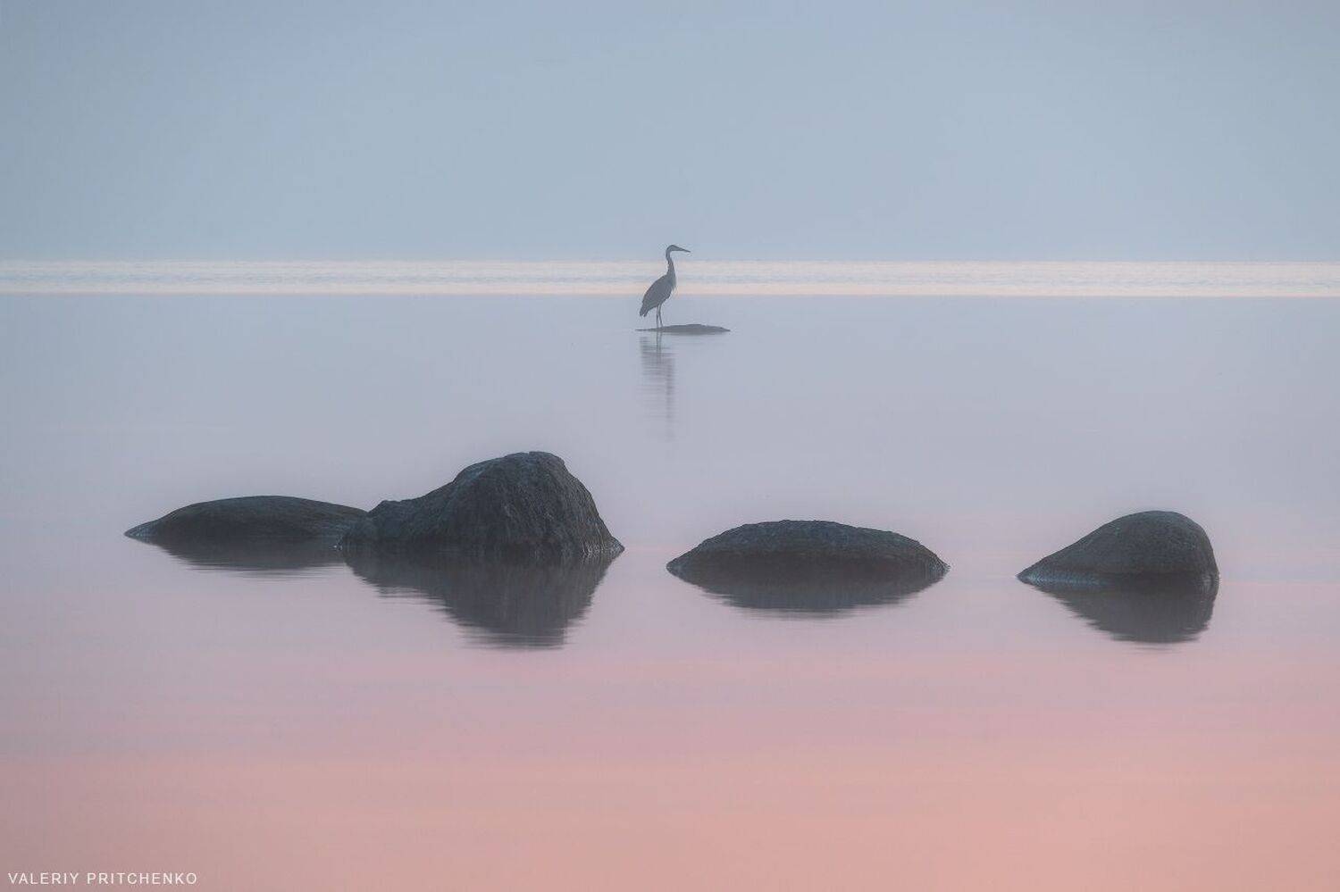 природа, пейзаж, цапля, утро, рассвет, landscape, nature, morning, Валерий Притченко