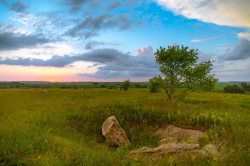пейзаж, степь, закат, лето, июнь, landscape, summer, steppe Июнь фото превью
