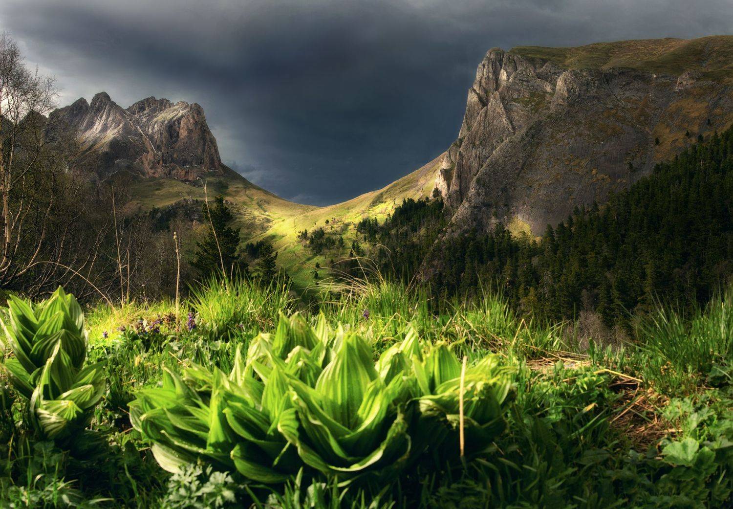 , Сергей Лукашенко