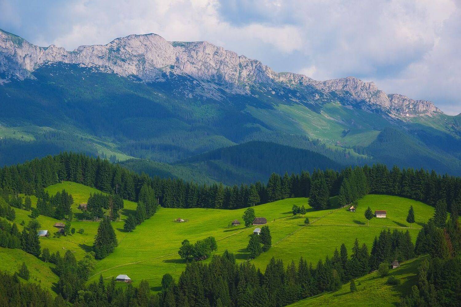 , Stefan Chirobocea