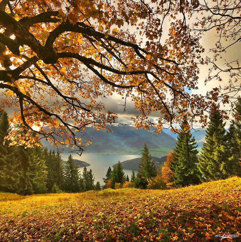 Осень..