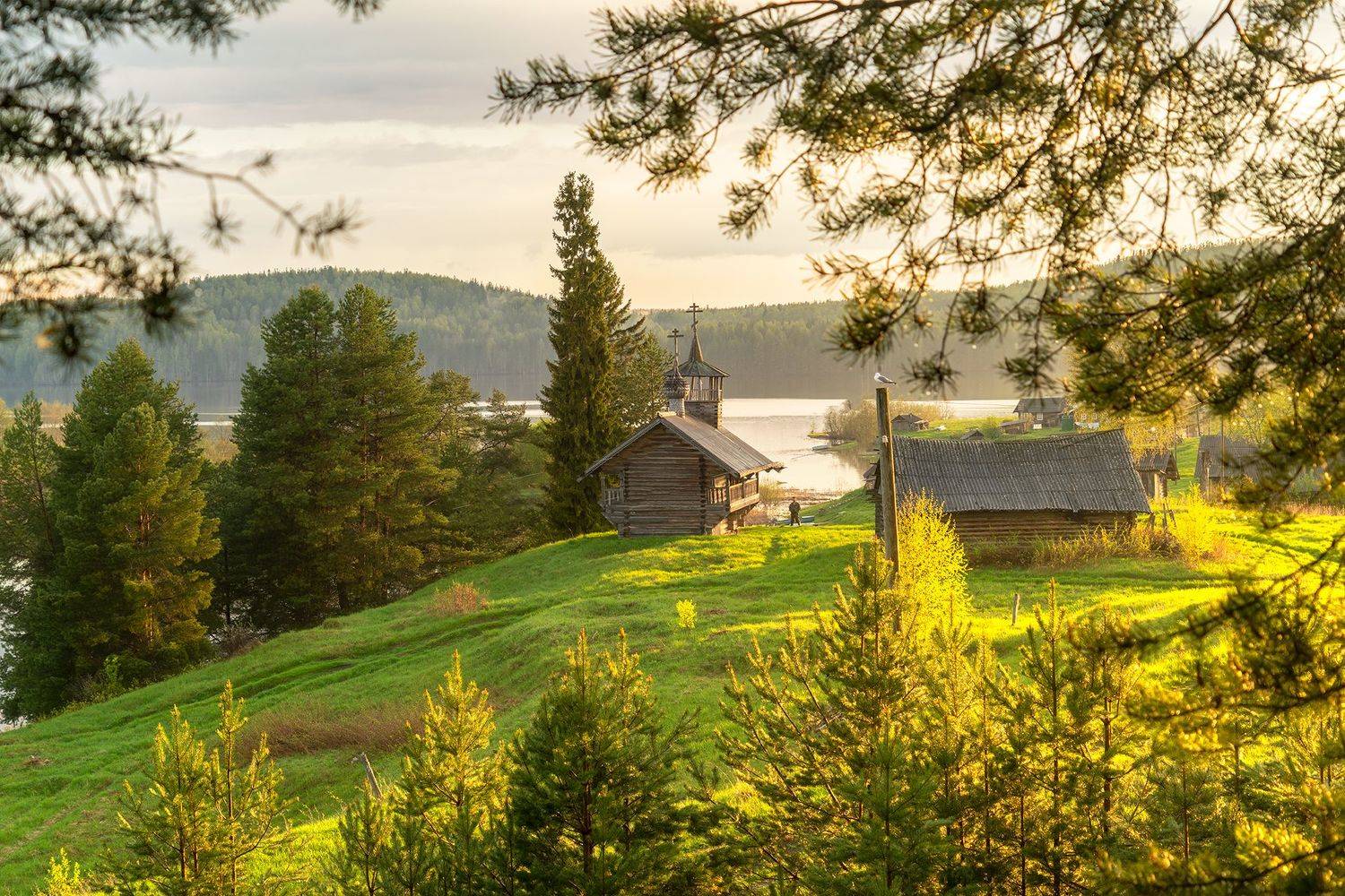 , Андрей Базанов