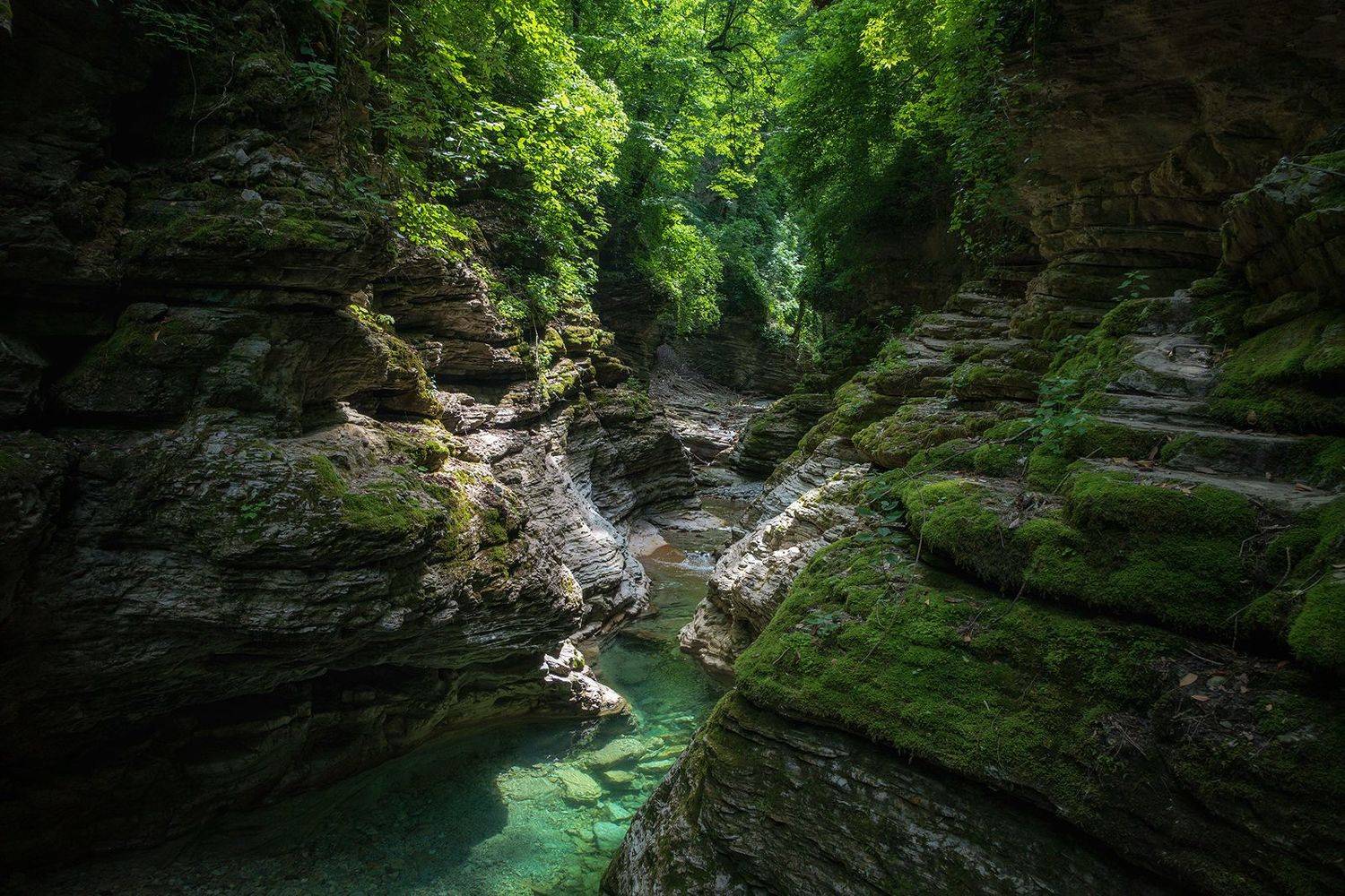 , Сергей Тихомиров