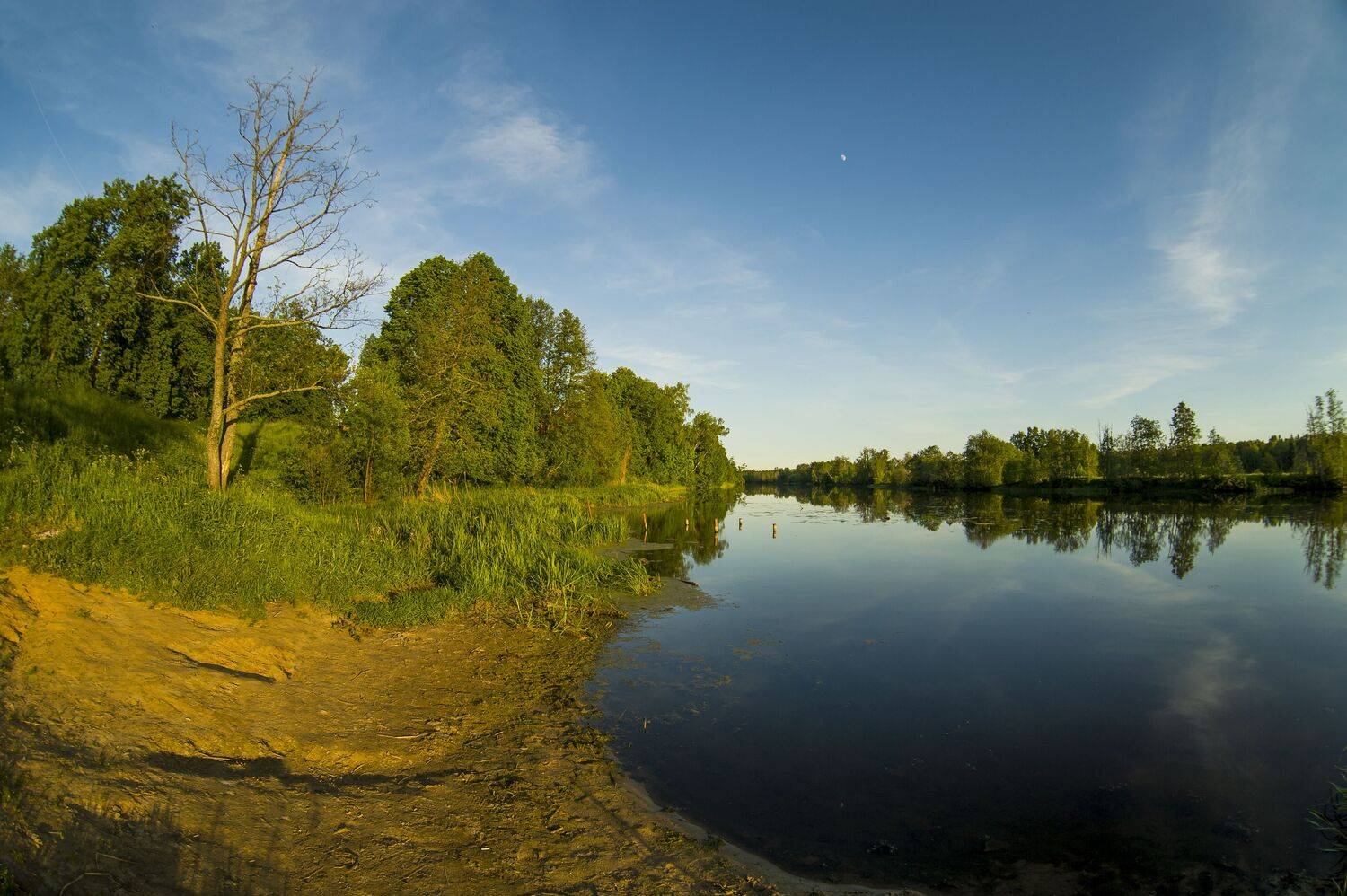 , Оксана Евкодимова