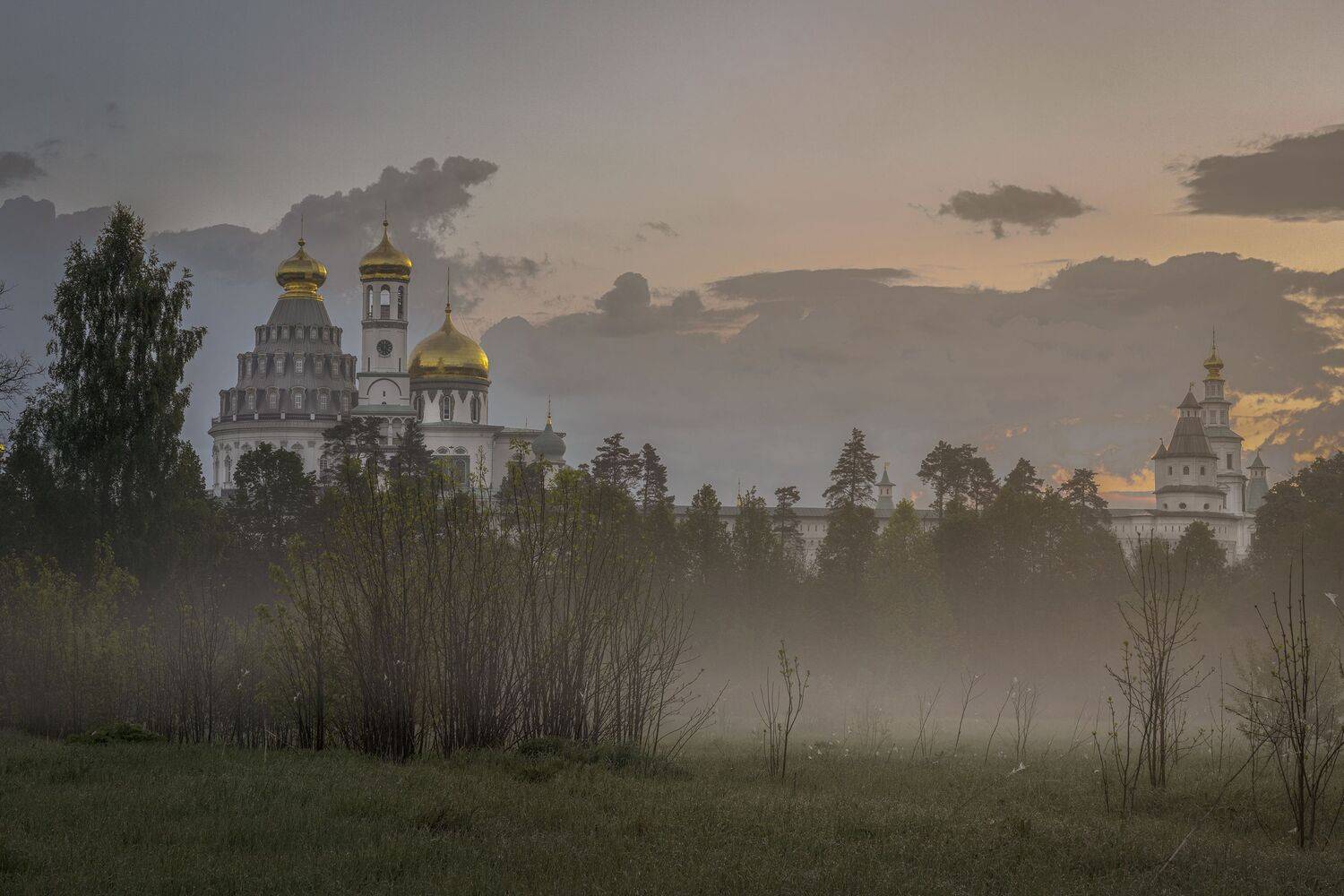 Истра, Гусева Елена