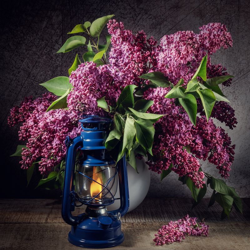 Сирень фото превью