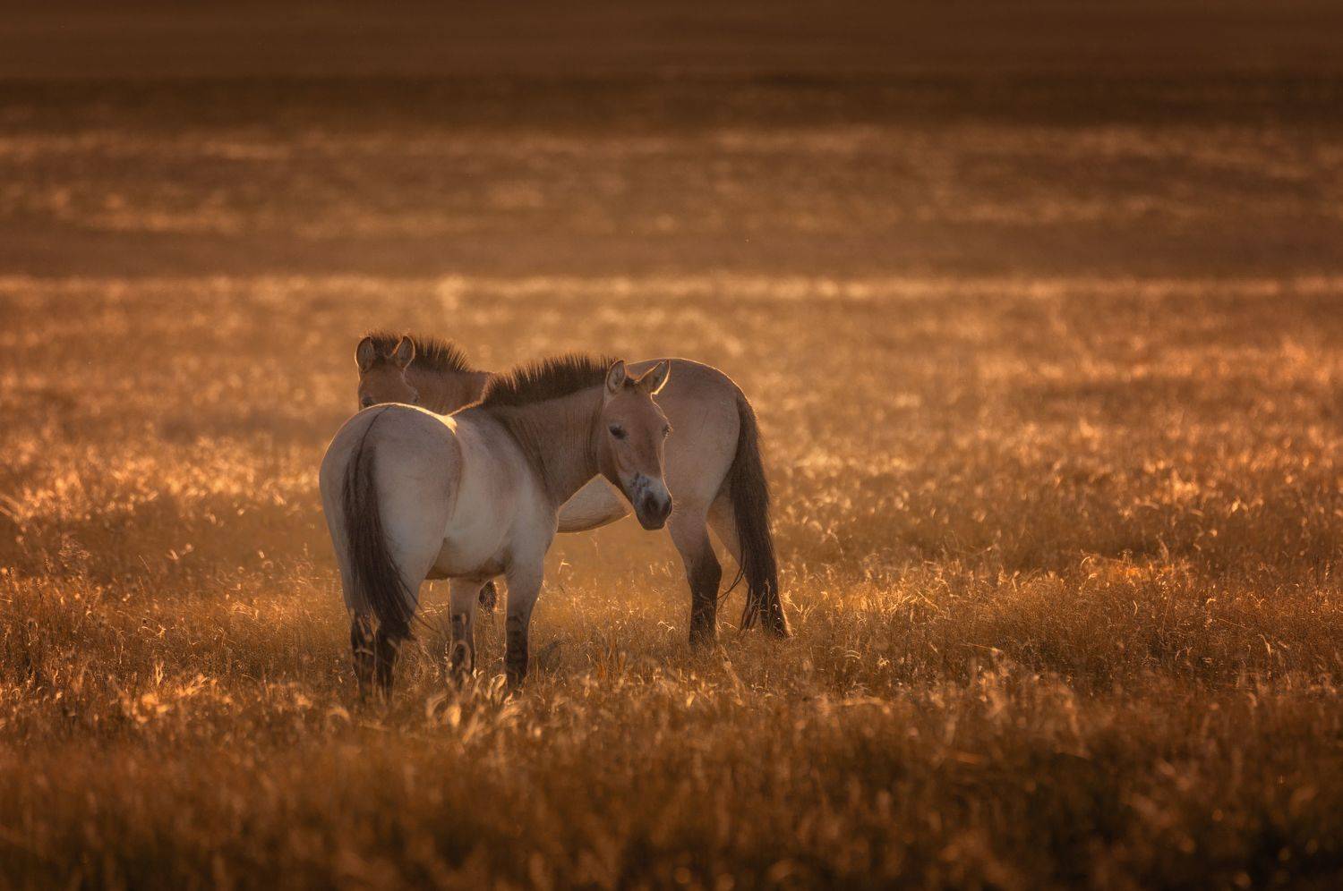 , Бирюкова Татьяна