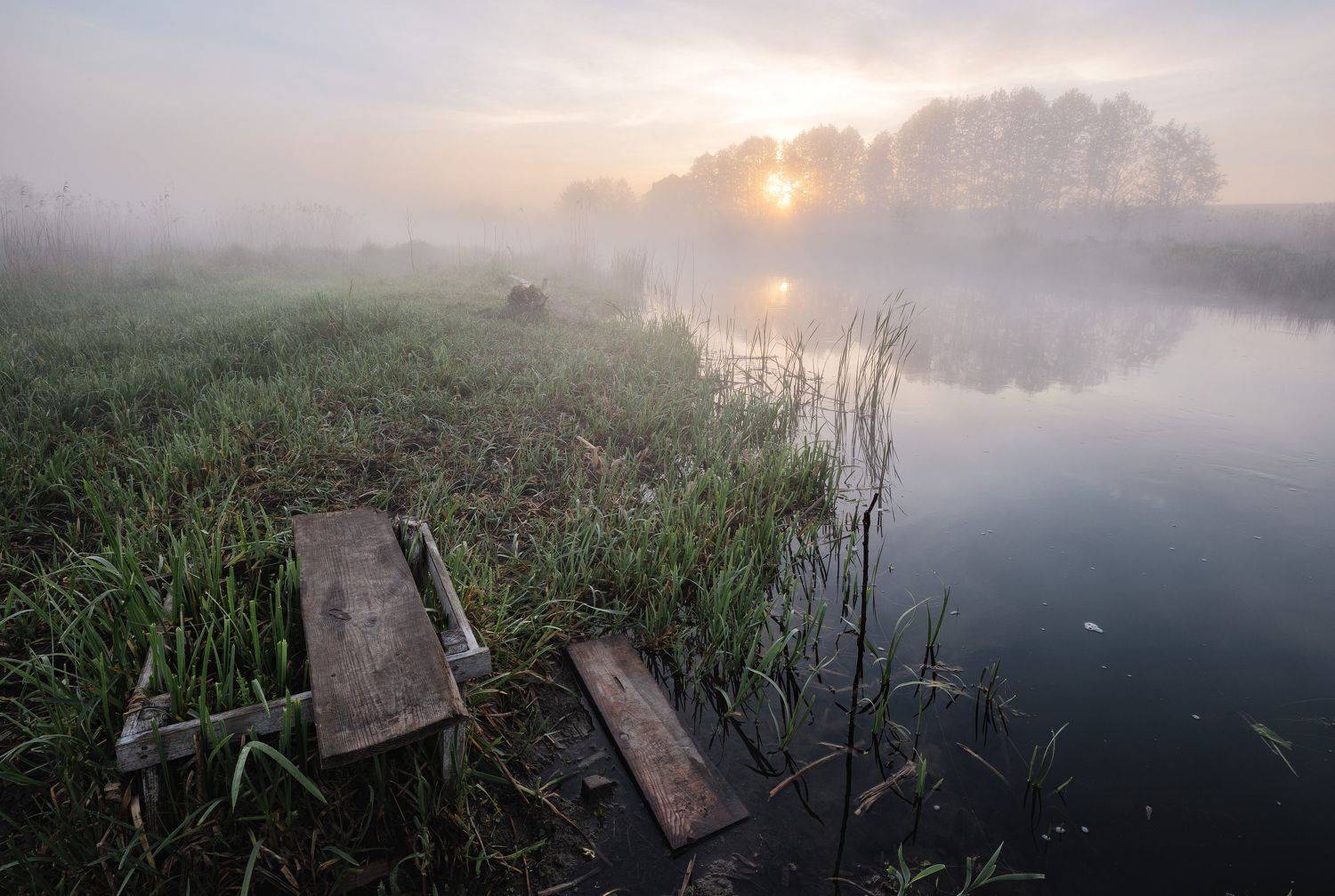 , Александр Бредихин
