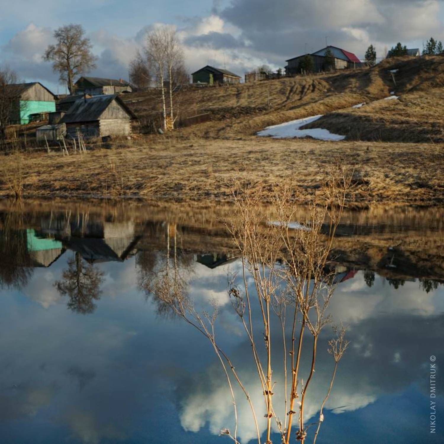 пейзаж, николай дмитрук