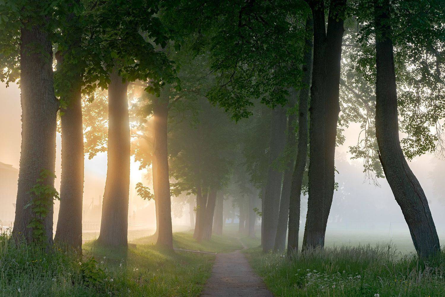 , Руслан Авдевич