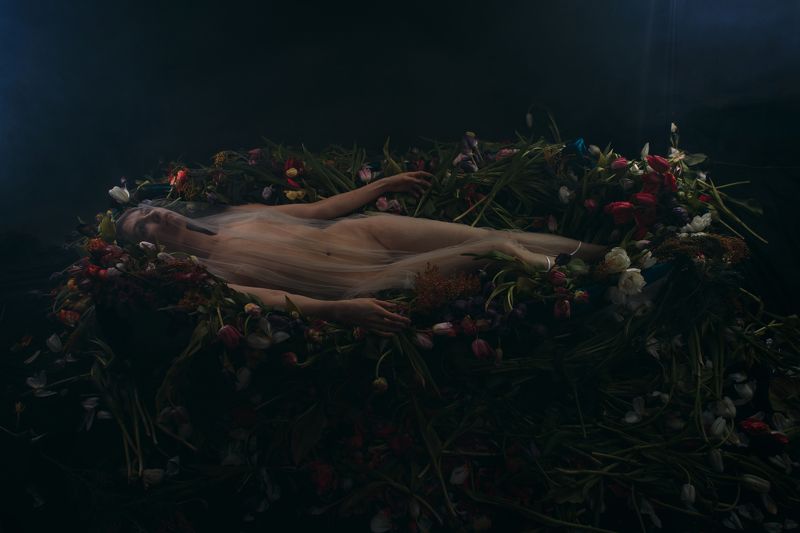 цветы, офелия, никитин, nikitin Офелия фото превью