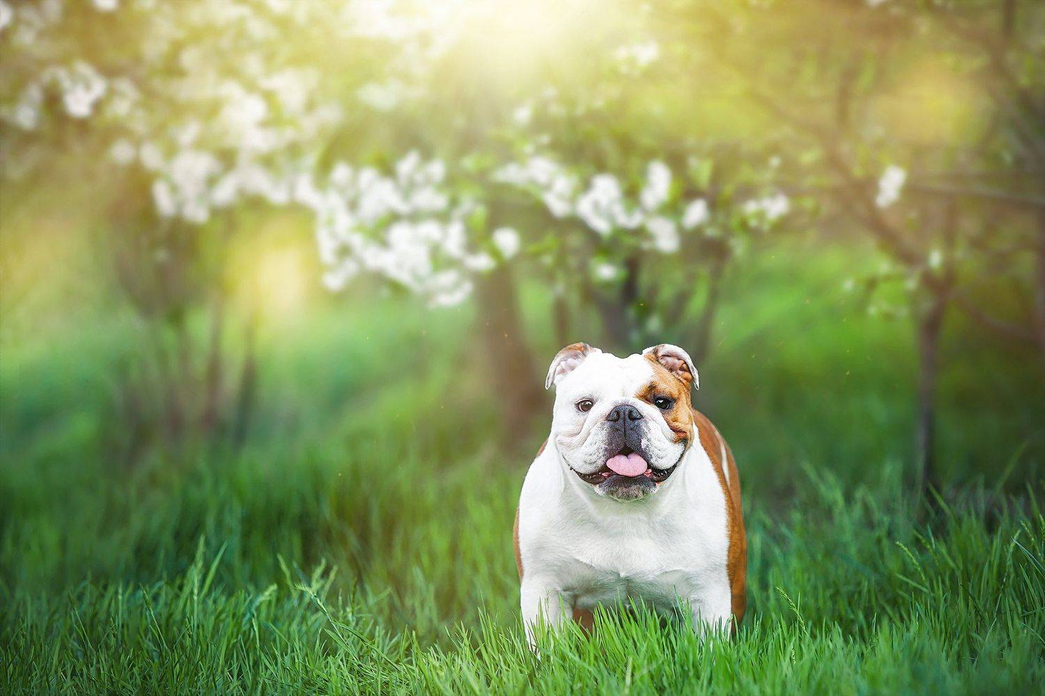 , Галина Ледок