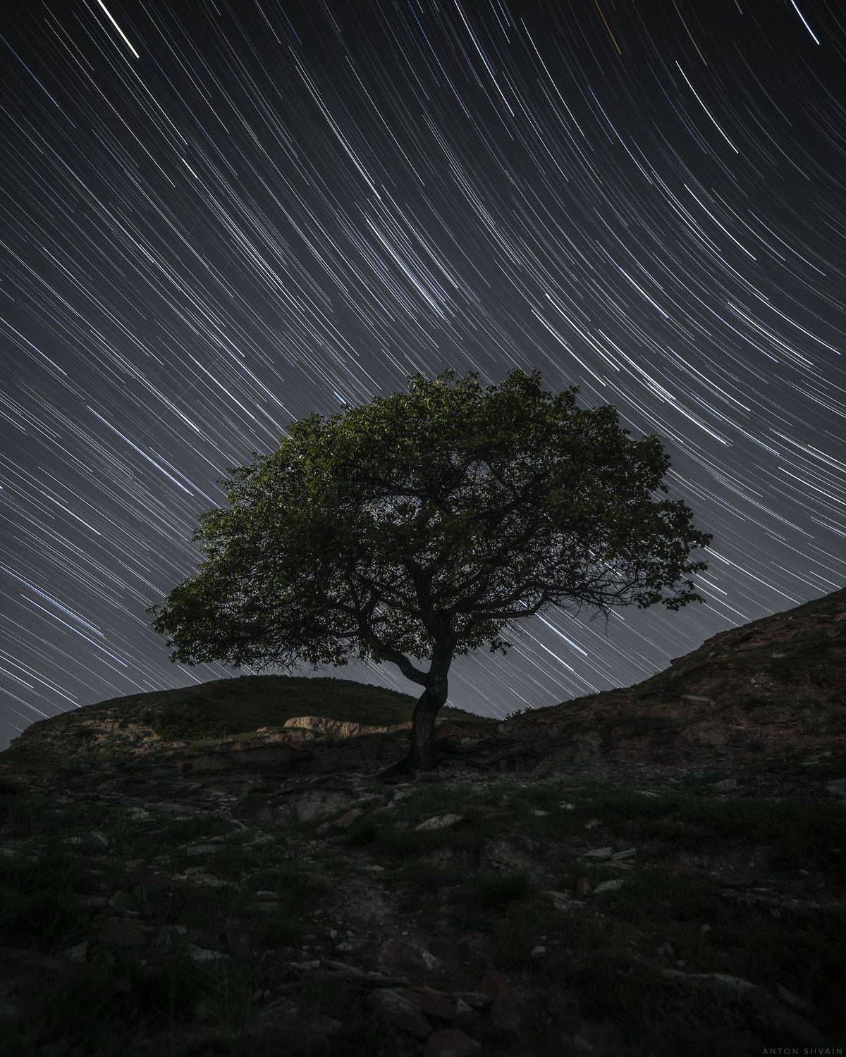 , Антон Шваин