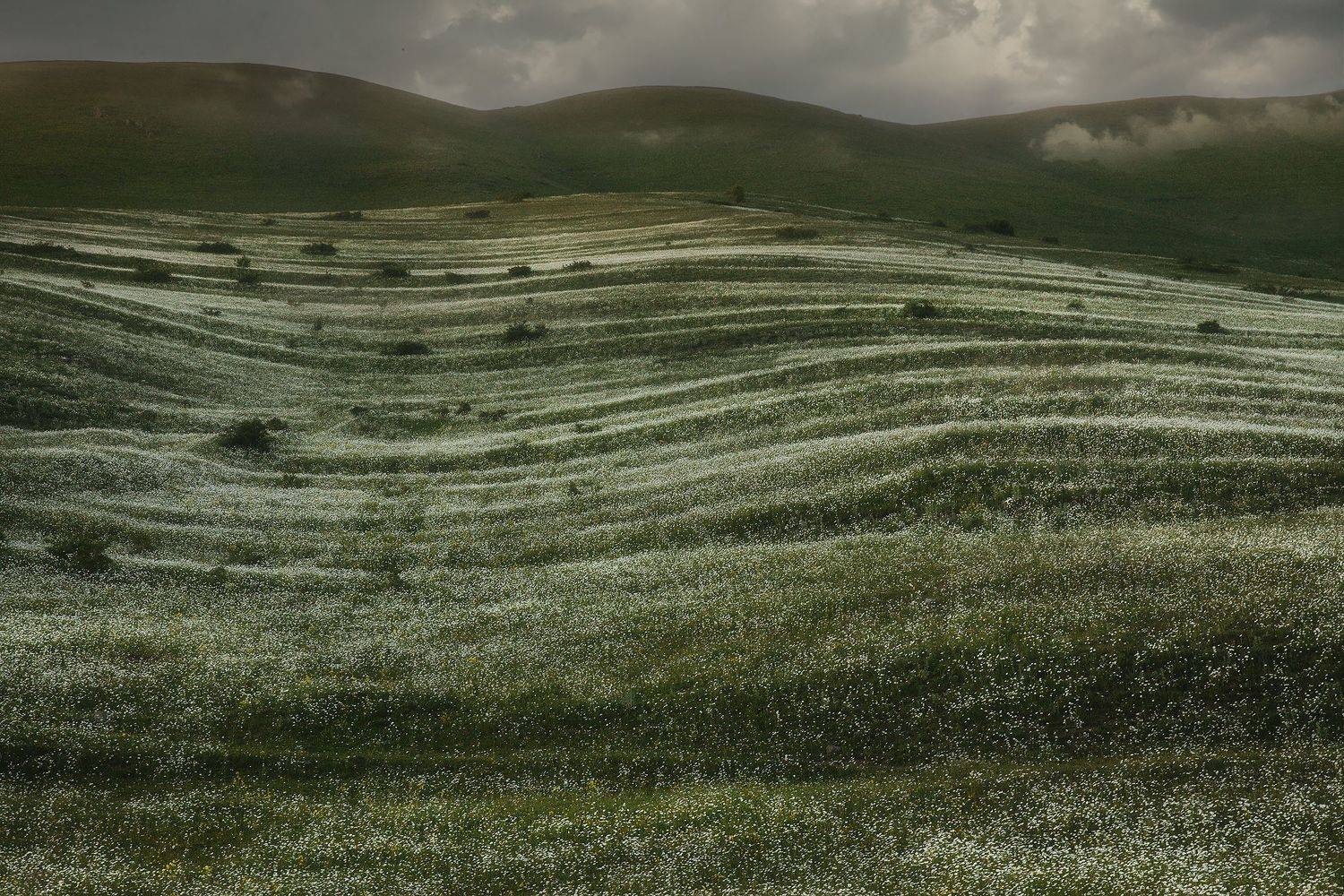 , Анастасия Колесникова