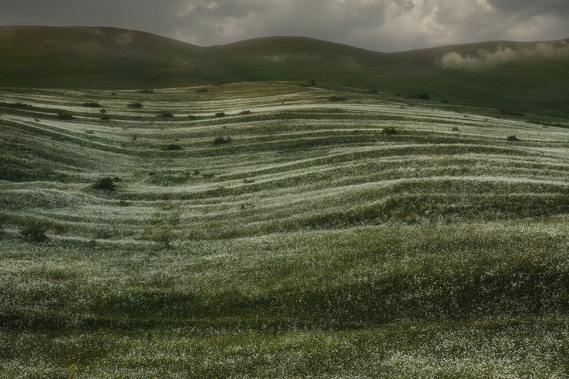 Цветочные холмы Армении фото превью