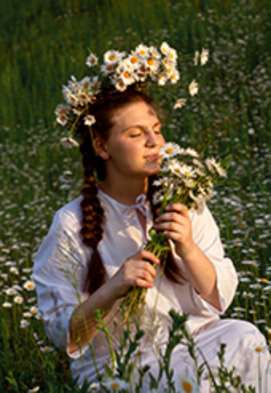 аромат лета фото превью