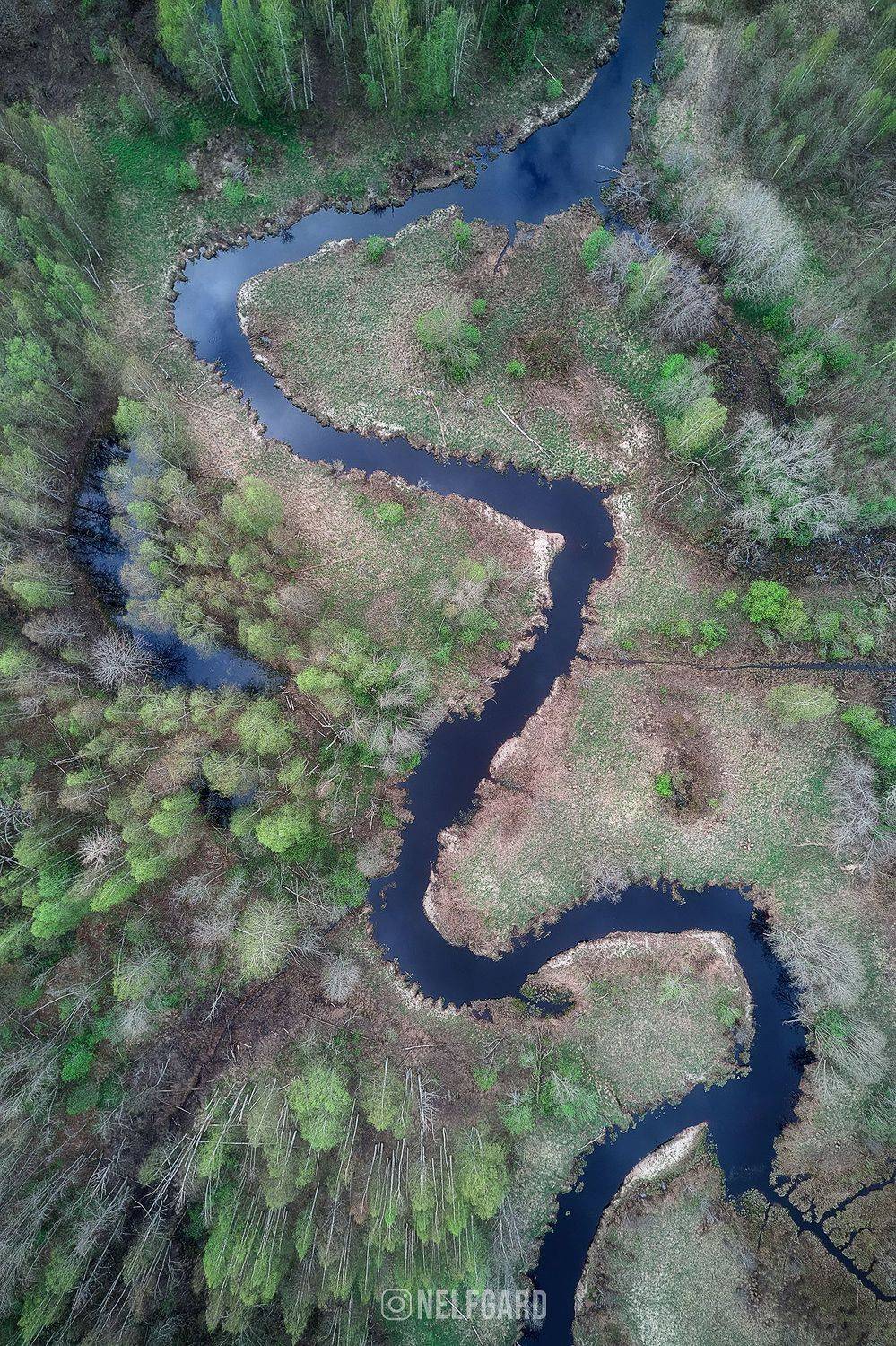 , Чехонин Александр