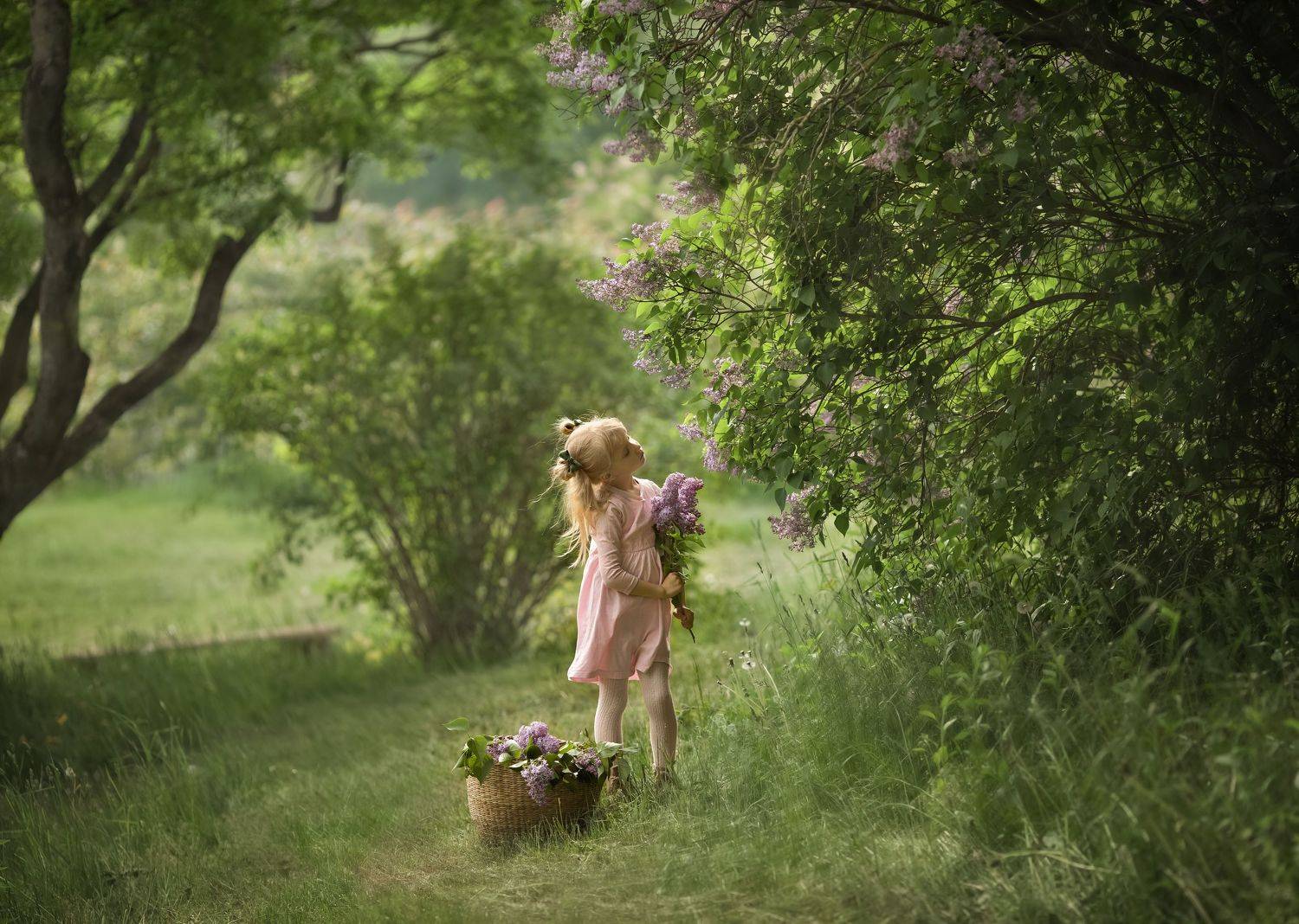 сирень, дети, природа,лето, Наумова Светлана