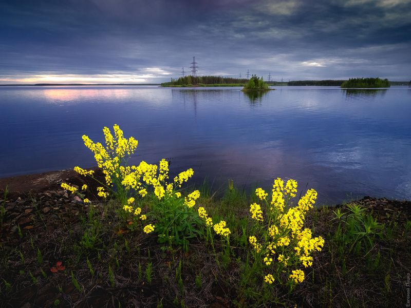 фото превью