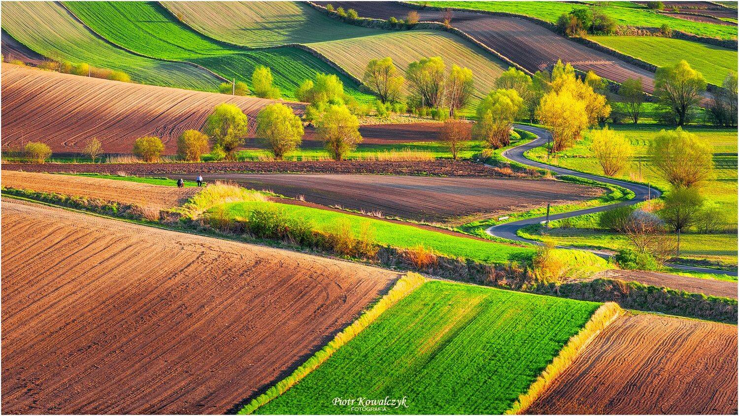 polska, ponidzie, wiosna, Kowalczyk Piotr