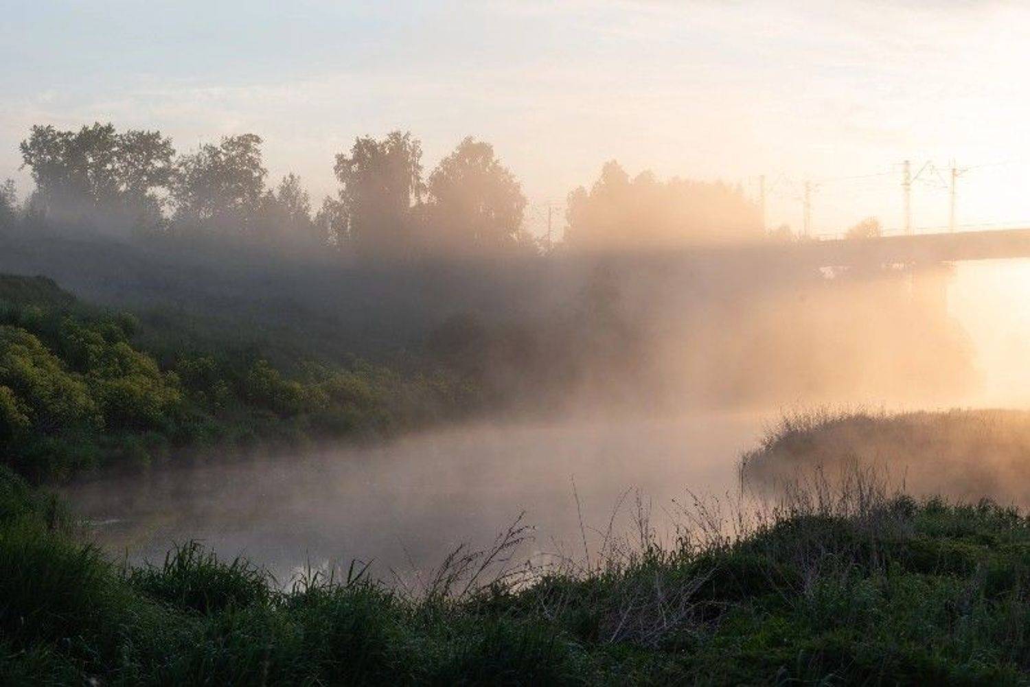 , Максим Ватрушкин