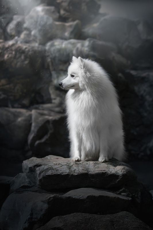 Магия фото превью