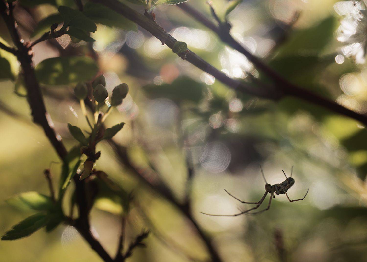 , Баранов Олег