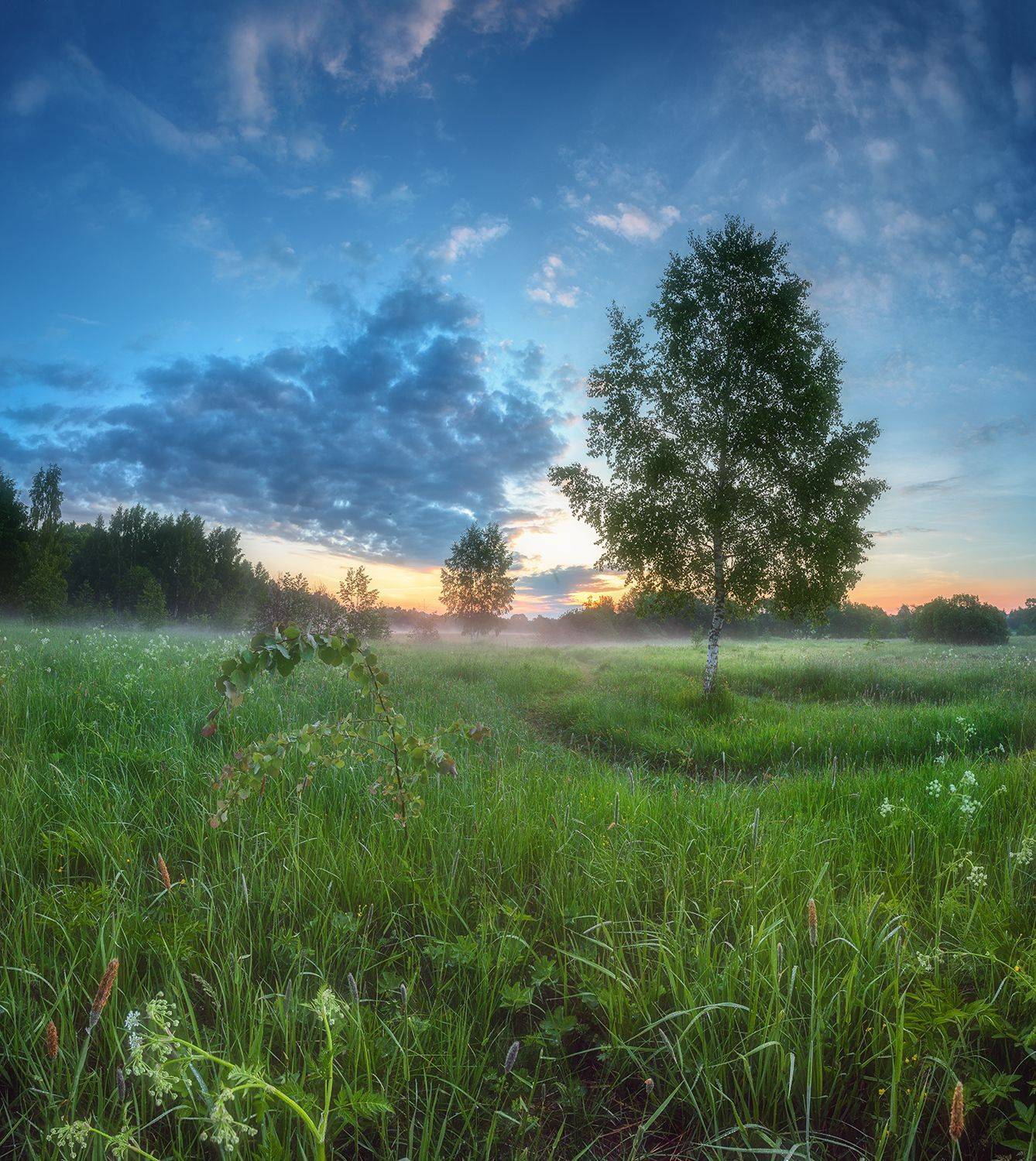 , Николай Андреев