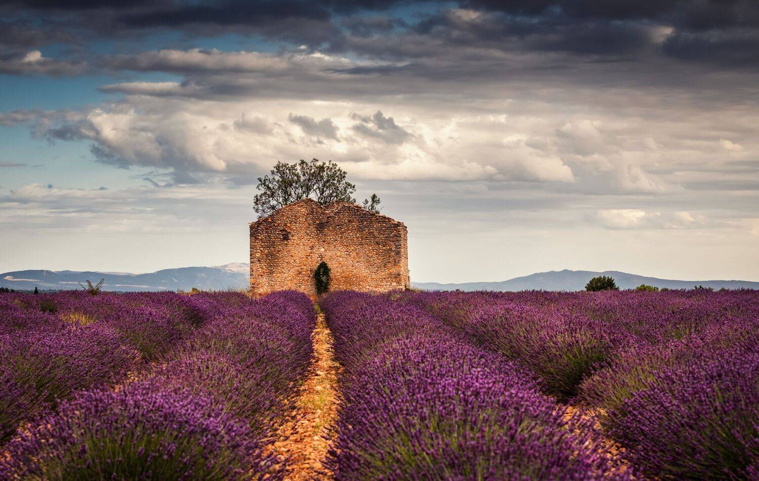 , Александр Безмолитвенный