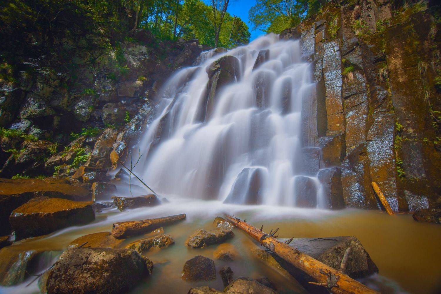 , Сигида Дмитрий