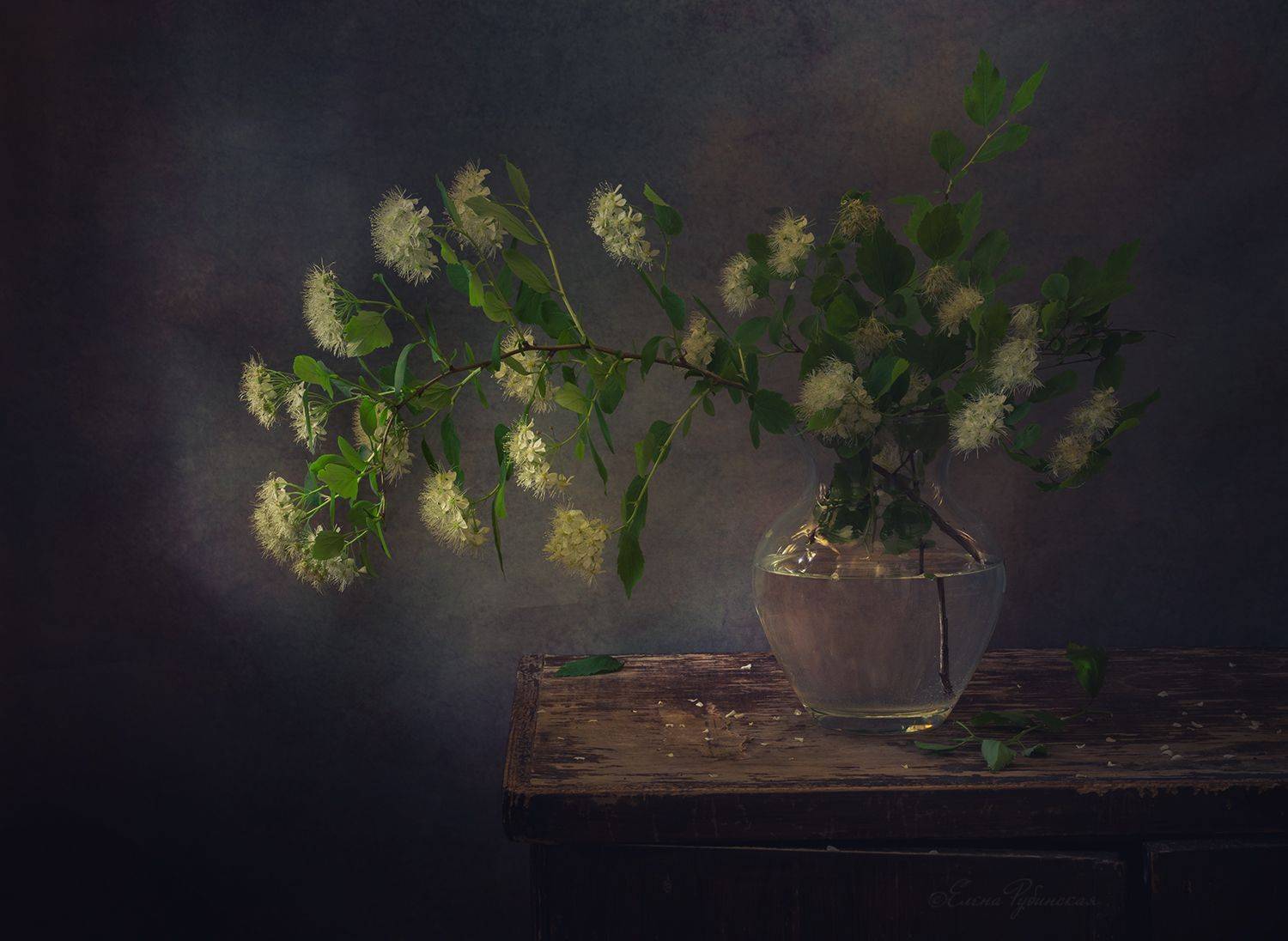 , Елена Рубинская