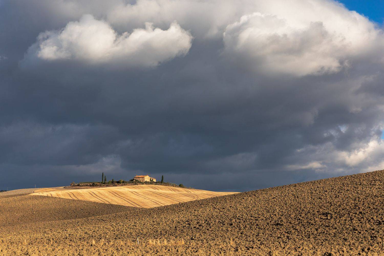 , Евгения Чех