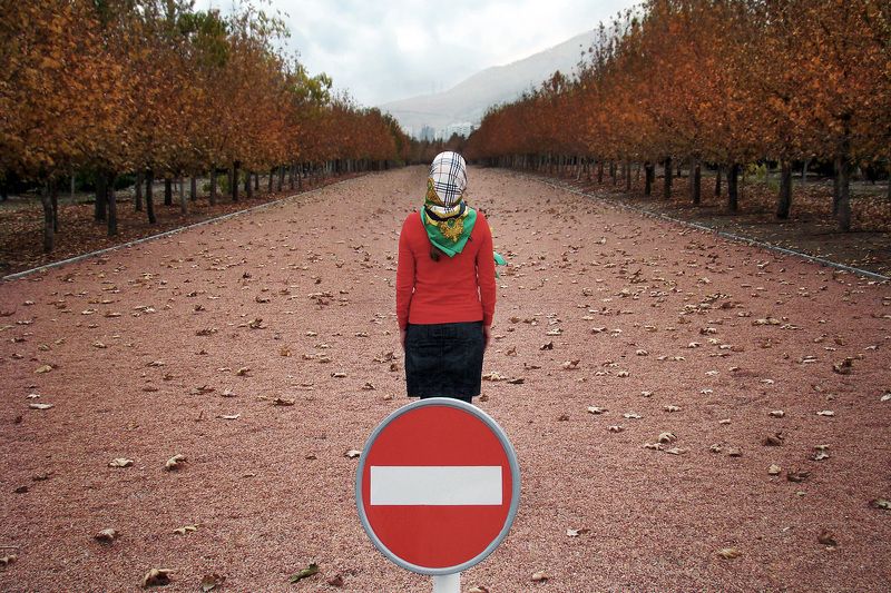 Forbidden фото превью