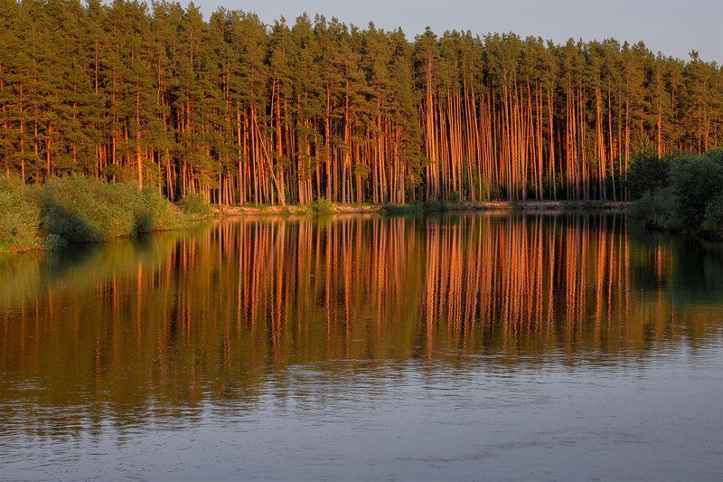 Летний вечер фото превью