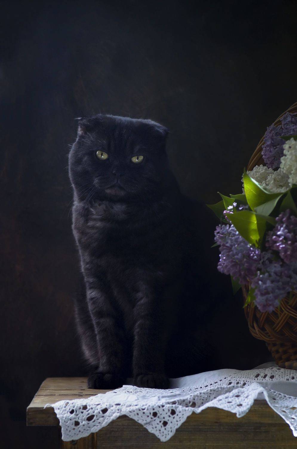 , Светлана Сушкевич