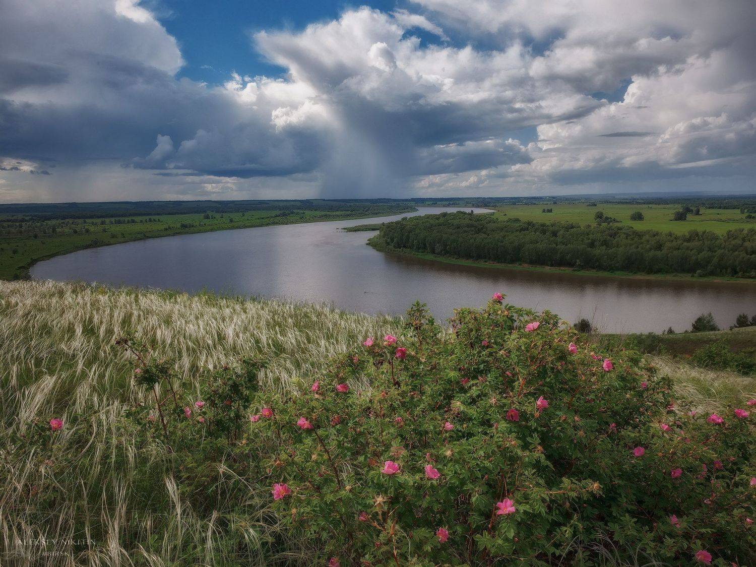 , Никитин Алексей