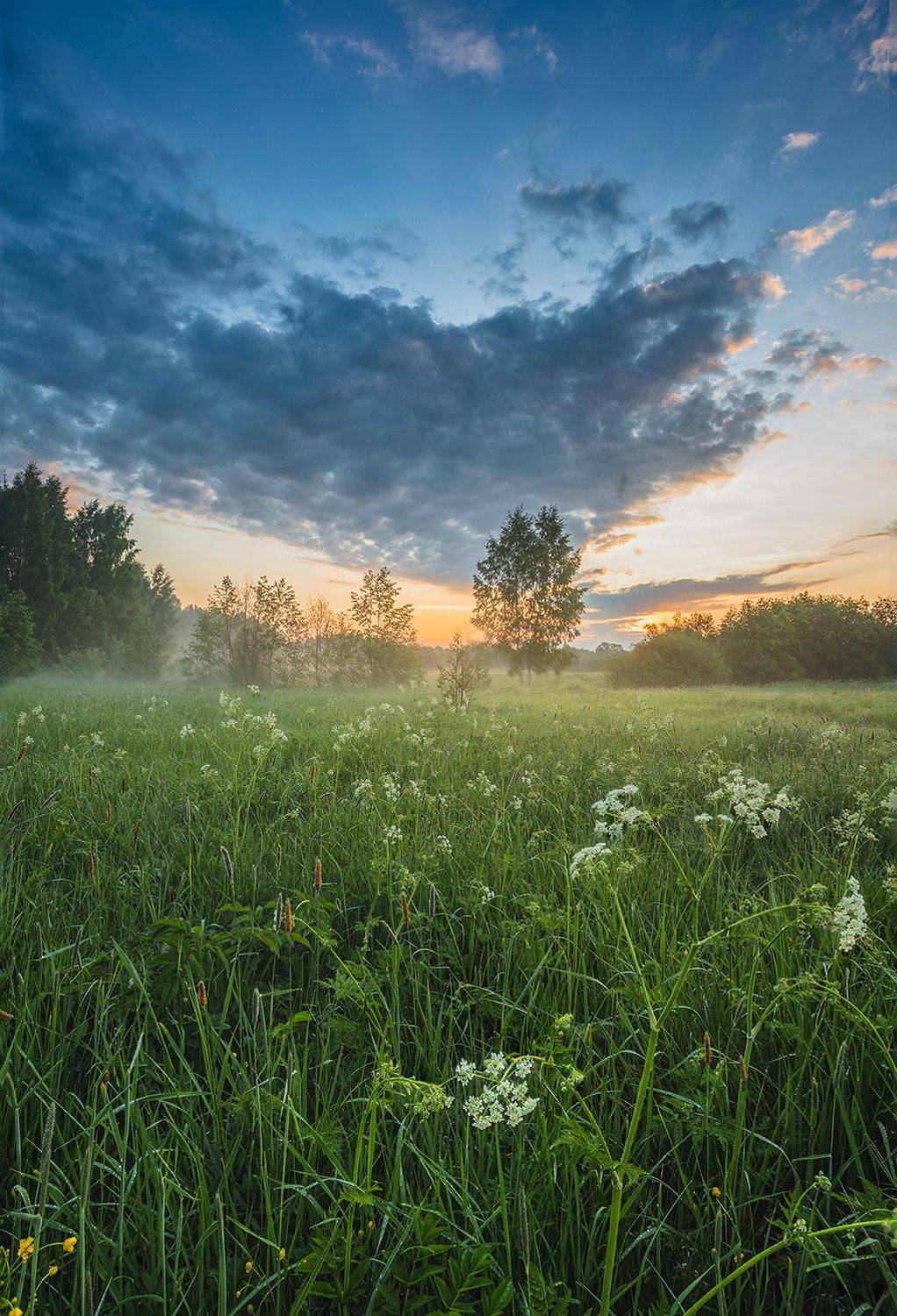 , Николай Андреев