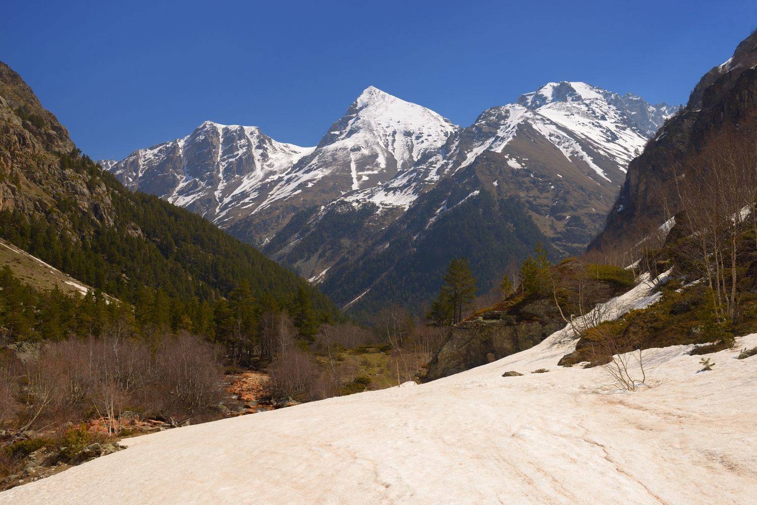 горы весна кавказ, Александр Жарников
