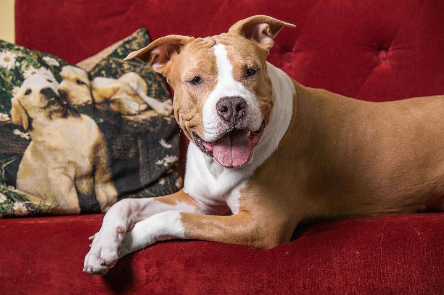 , Галина Ледок