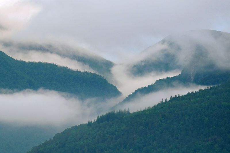 Misty coast фото превью