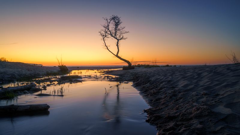 море, закат, дерево, река * фото превью