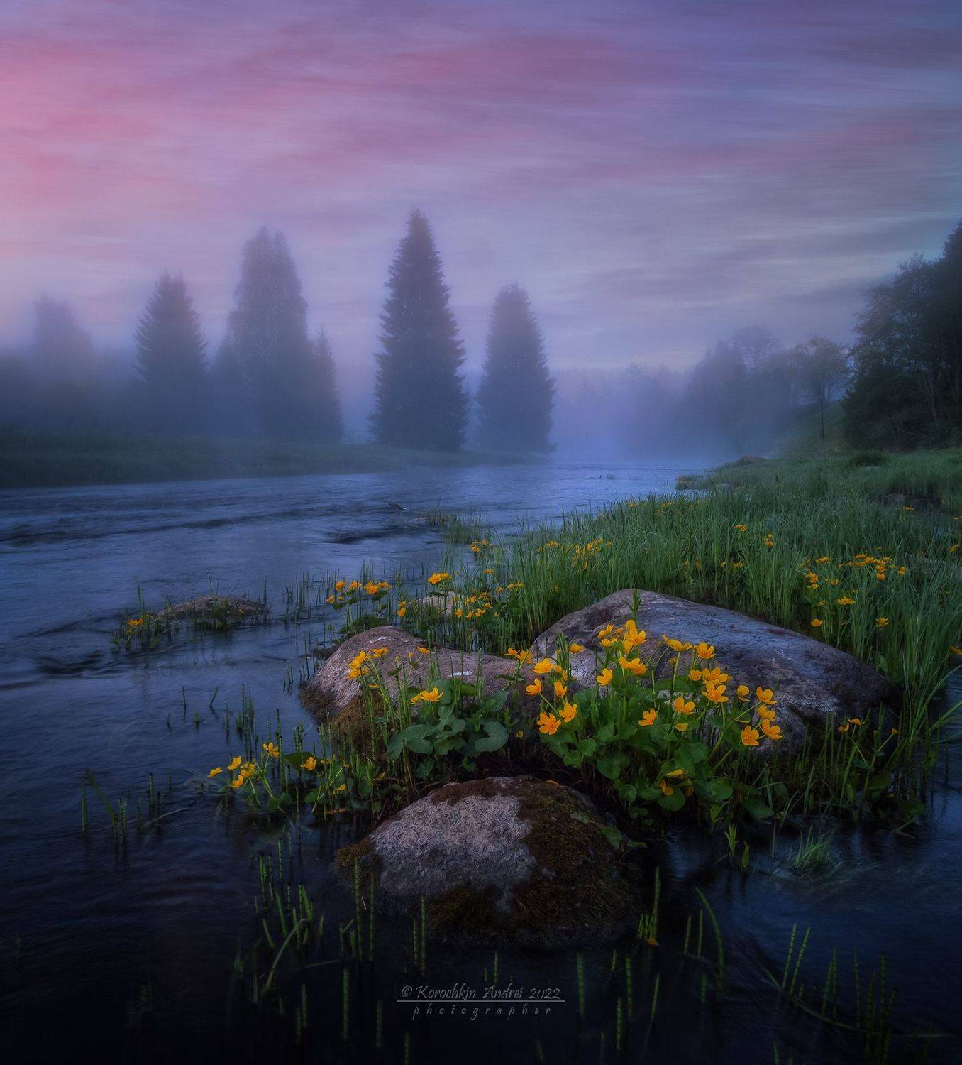 , Андрей Корочкин