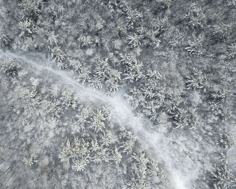 Белое утро фото превью