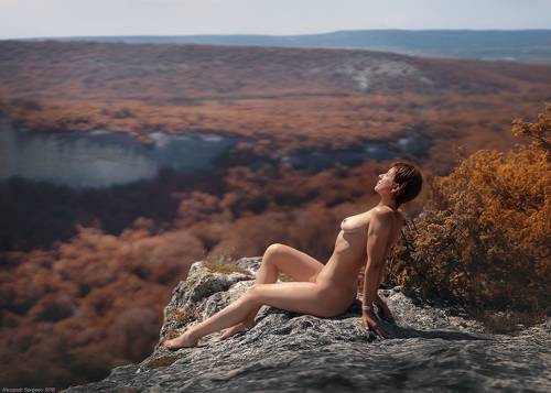 Оранжевый бриз