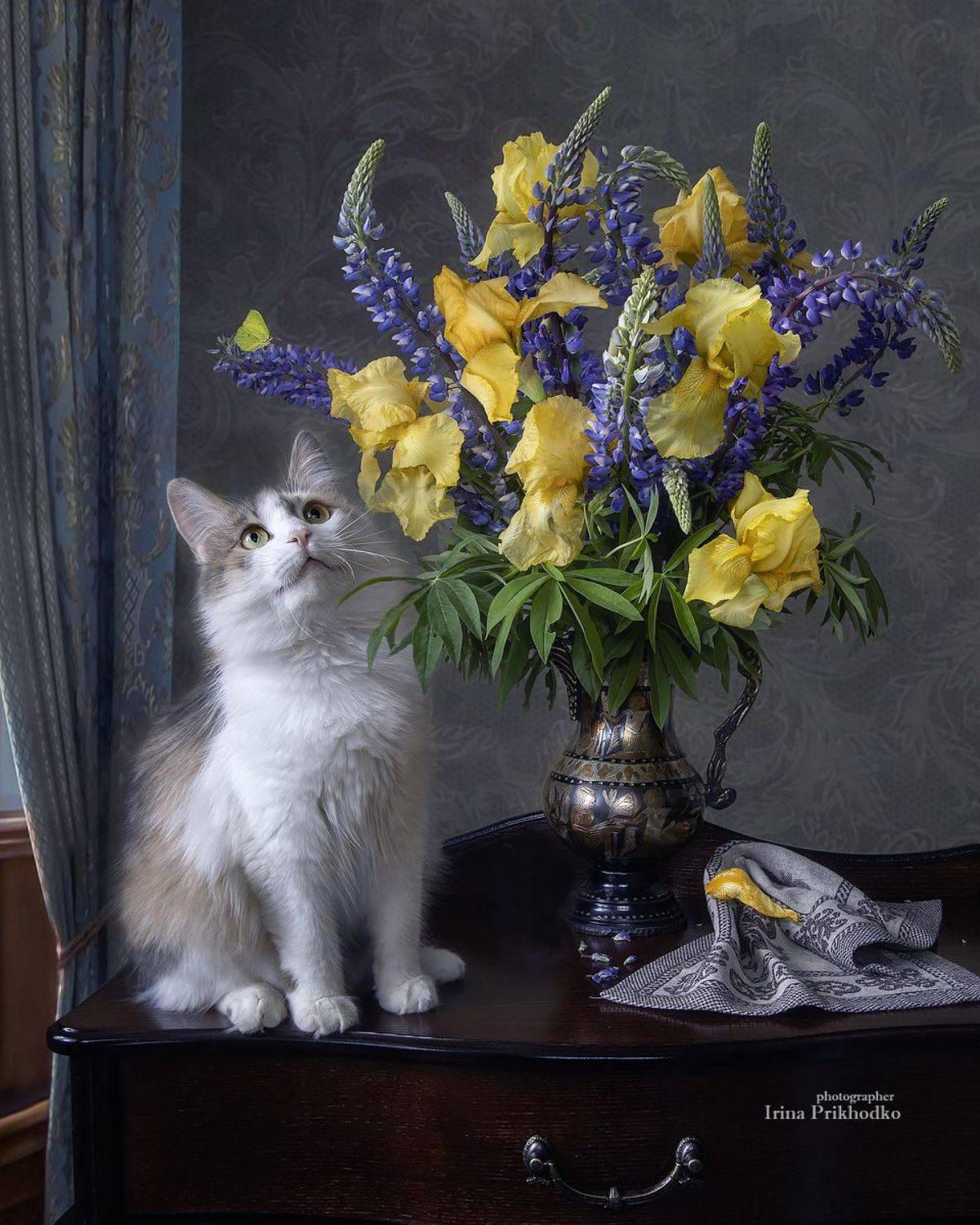 котонатюрморт, натюрморт, кошки, домашние животные, цветы, букеты, Приходько Ирина