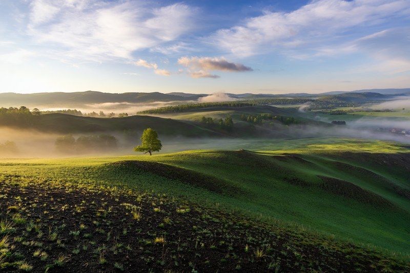 Туманное утро фото превью