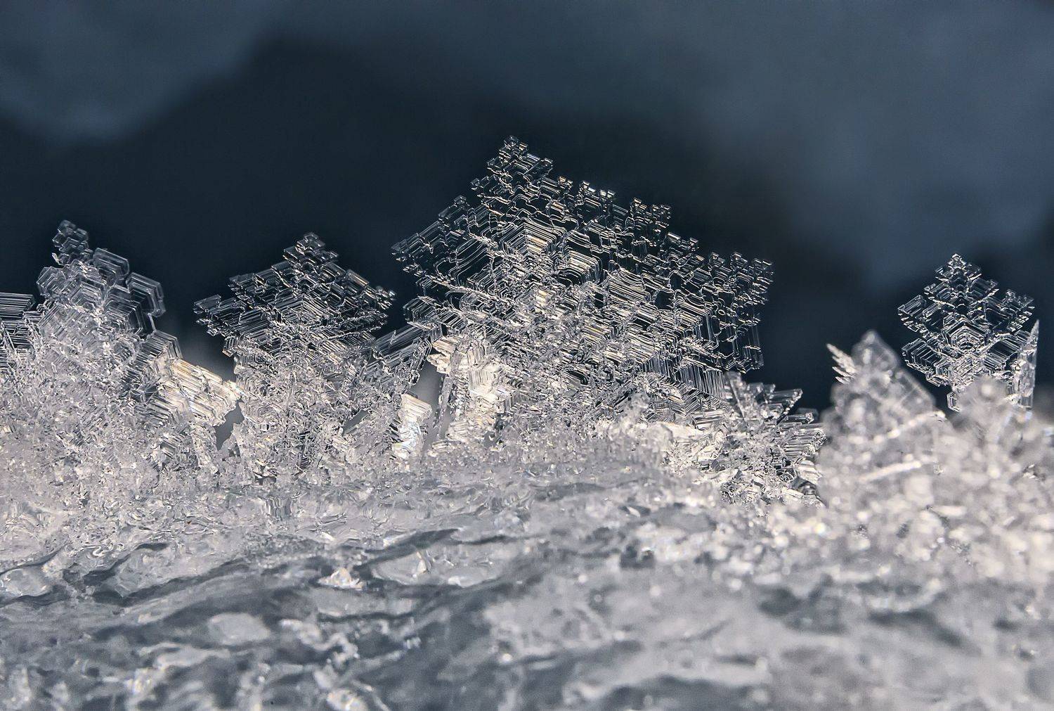 , Михаил Байбородин