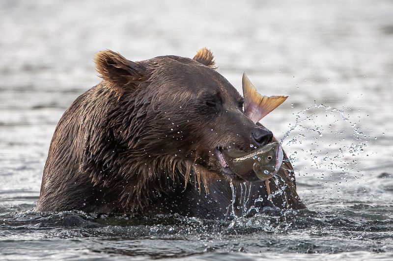 Блаженство фото превью