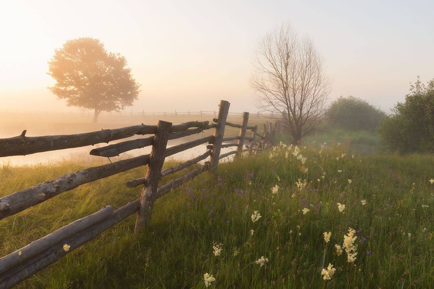 , Захаров Дмитрий